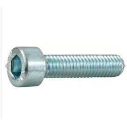 LEO - Farbe Silber